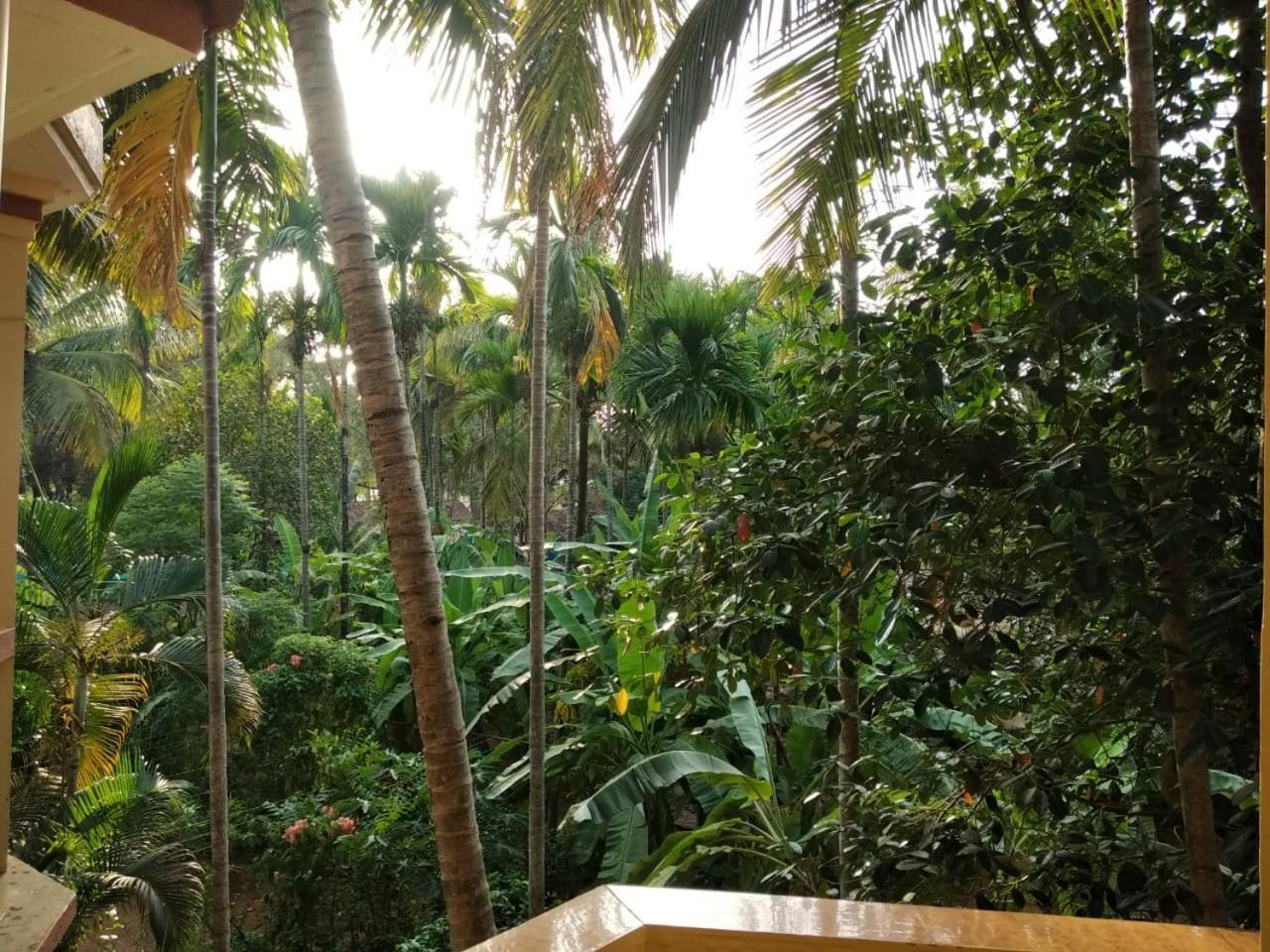 Indraprasth Apartment Palolem Exterior photo